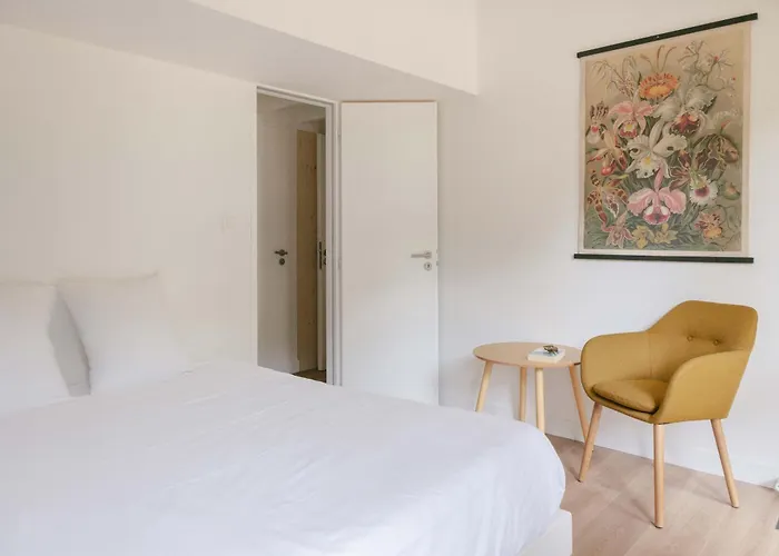 Slow Village Campsite