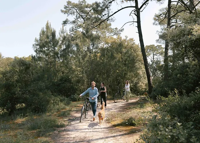 Campsite Slow Village